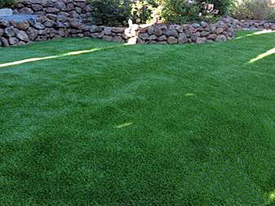 Plastic Grass Waverly Hall Georgia Pet Turf Backyard Ideas