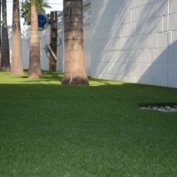 Artificial Grass Carpet Gumlog, Georgia Garden Ideas, Commercial Landscape