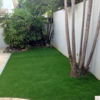 Artificial Grass Carpet Ray City, Georgia Garden Ideas, Backyard Designs