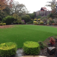 Artificial Grass Carpet Reed Creek, Georgia Design Ideas, Backyard Garden Ideas