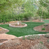 Artificial Grass East Newnan, Georgia Gardeners, Backyard Designs