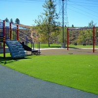 Artificial Grass Ray City, Georgia Landscape Design, Parks