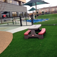 Artificial Lawn Boston, Georgia Athletic Playground, Backyard Pool