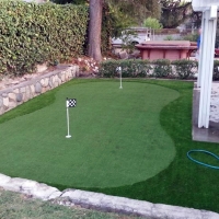 Artificial Lawn Dock Junction, Georgia Diy Putting Green, Backyard Designs