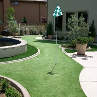 Artificial Lawn Plains, Georgia Roof Top, Backyard Landscaping Ideas