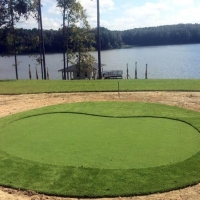 Artificial Lawn Skidaway Island, Georgia Gardeners