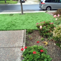 Artificial Turf College Park, Georgia Dogs, Front Yard Landscape Ideas