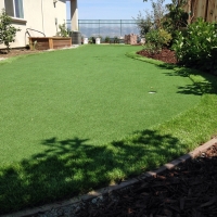 Artificial Turf Comer, Georgia Gardeners, Backyard Landscape Ideas