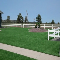 Artificial Turf Cost Mount Zion, Georgia Landscape Rock, Backyard