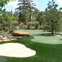 Artificial Turf Cost Trion, Georgia Landscape Rock, Backyard