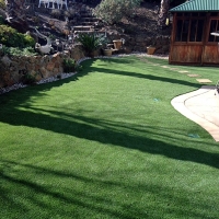 Artificial Turf Grantville, Georgia Backyard Playground, Backyard Ideas