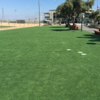 Artificial Turf Installation Dexter, Georgia Landscape Ideas, Recreational Areas