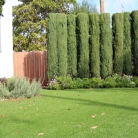 Artificial Turf Installation Stockbridge, Georgia Backyard Deck Ideas, Front Yard Landscape Ideas