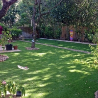 Artificial Turf Roberta, Georgia Gardeners, Backyard