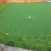 Artificial Turf Saint Simons, Georgia Backyard Putting Green