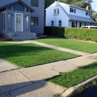 Best Artificial Grass Blythe, Georgia Design Ideas, Landscaping Ideas For Front Yard