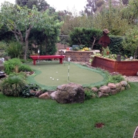 Fake Grass Carpet Fort Oglethorpe, Georgia Putting Green Turf, Backyard