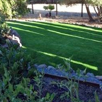 Fake Grass Carpet Tignall, Georgia City Landscape, Backyard Garden Ideas