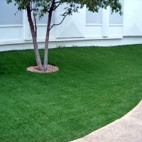 Fake Lawn Bibb City, Georgia Landscaping, Commercial Landscape