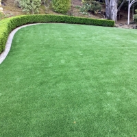 Fake Turf Demorest, Georgia Garden Ideas, Backyard Designs