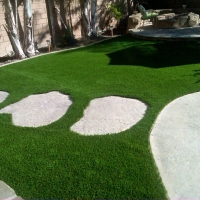 Faux Grass Scottdale, Georgia Design Ideas, Backyard Landscape Ideas