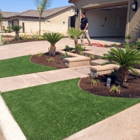 Grass Carpet Cornelia, Georgia Paver Patio, Front Yard Landscaping