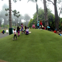 Grass Installation Coolidge, Georgia Home And Garden, Parks