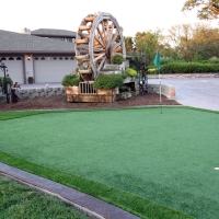 Grass Turf McIntyre, Georgia Roof Top, Small Front Yard Landscaping