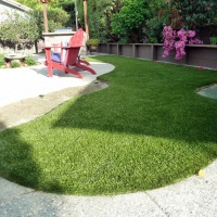 Grass Turf Roberta, Georgia Garden Ideas, Backyard Garden Ideas