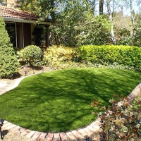 Green Lawn Bonanza, Georgia Landscaping, Backyard Design