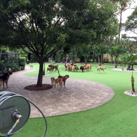 How To Install Artificial Grass Sugar Hill, Georgia Rooftop, Commercial Landscape