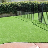 Installing Artificial Grass Waleska, Georgia Dog Run, Front Yard Ideas