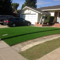 Lawn Services Demorest, Georgia Landscaping Business, Landscaping Ideas For Front Yard