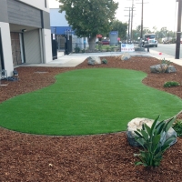 Lawn Services Guyton, Georgia Rooftop, Commercial Landscape