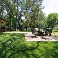 Outdoor Carpet Alapaha, Georgia Landscape Ideas, Backyard Garden Ideas