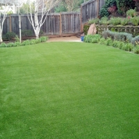 Outdoor Carpet Remerton, Georgia Landscape Photos, Backyard Garden Ideas