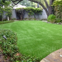 Outdoor Carpet Stillmore, Georgia Landscaping, Backyard Landscape Ideas