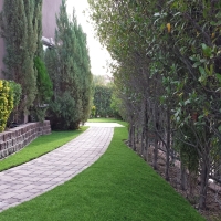 Synthetic Grass Cost Flemington, Georgia Landscape Photos, Front Yard Landscaping Ideas