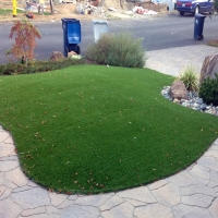 Synthetic Grass Cost Odum, Georgia Lawn And Garden