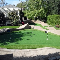 Synthetic Grass Norman Park, Georgia Home Putting Green, Beautiful Backyards