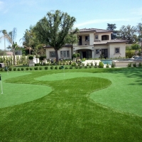 Synthetic Grass Patterson, Georgia Lawns, Front Yard Landscaping