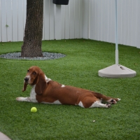 Synthetic Grass Trenton, Georgia Grass For Dogs, Dogs Runs