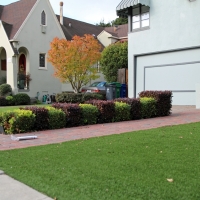 Synthetic Lawn Thunderbolt, Georgia Garden Ideas, Front Yard Design