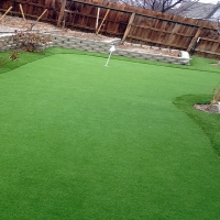 Synthetic Turf Flovilla, Georgia Putting Green Turf, Backyard Design