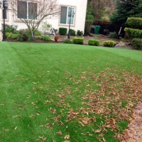 Synthetic Turf Supplier Sardis, Georgia Home And Garden, Backyard Landscape Ideas