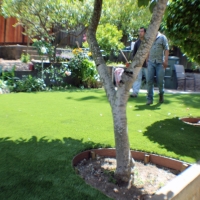 Synthetic Turf Supplier Yonah, Georgia Landscape Photos, Backyard Landscaping Ideas