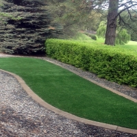 Synthetic Turf Vidalia, Georgia Lawn And Garden