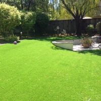 Turf Grass Allenhurst, Georgia Landscaping, Backyard Landscape Ideas