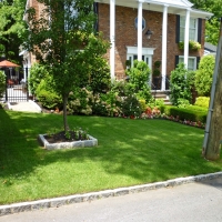 Turf Grass Berlin, Georgia Landscaping Business, Front Yard Ideas