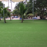 Turf Grass Cohutta, Georgia Roof Top, Commercial Landscape